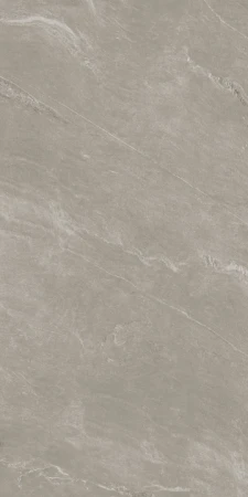 Coem Wide Gres Cardoso Grigio Chiaro 120x240 - płytka drewnopodobna