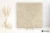 Piemme Concrete Taupe 80x80 - płytka imitująca beton