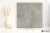 Piemme Concrete Warm Grey 80x80 - płytka imitująca beton
