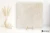 Piemme Concrete White 60.4x60.4 - płytka nierektyfikowana - płytka imitująca beton