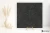 Piemme Limestone Belgium Black 120x120 - płytka imitująca kamień