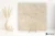 Piemme Limestone French Beige antypoślizgowa 60x60 - płytka imitująca kamień