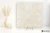 Piemme Limestone Italian White antypoślizgowa 60x60 - płytka imitująca kamień