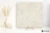 Piemme Limestone Italian White 120x120 - płytka imitująca kamień