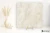 Piemme Majestic Onyx Pearl White wysoki 120x120 - płytka imitująca marmur
