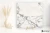 Piemme Majestic Pure Selection Glorious Arabescato wysoki 120x120 - płytka imitująca marmur
