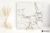 Piemme Majestic Pure Selection Glorious Arabescato wysoki 60x60 - płytka imitująca marmur