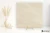 Piemme Purestone Beige 60x60 - płytka imitująca kamień