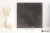 Piemme Uniquestone Nite 80x80 - płytka imitująca kamień