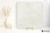 Piemme Uniquestone Silk 80x80 - płytka imitująca kamień