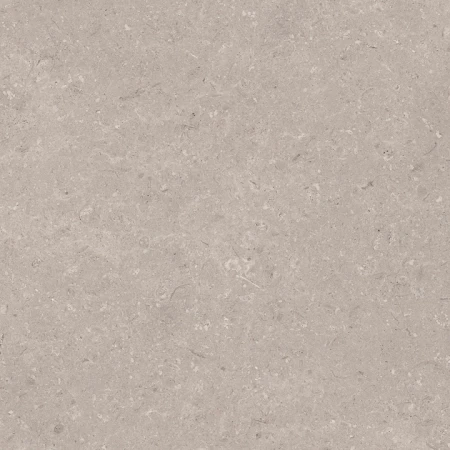 Porcelanosa Coral Topo L 80x80 - płytka imitująca kamień