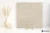 Keraben Boreal Beige 60x60 - płytka imitująca beton