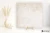 Keraben Rue De Paris Beige 75x75 - płytka imitująca kamień