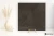 Keraben Rue De Paris Black pół 60x60 - płytka imitująca kamień