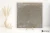 Keraben Rue De Paris Cobre 45x45 - płytka nierektyfikowana - płytka imitująca kamień