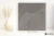 6dba532635dae8412e2cd7de48eae160