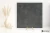 533ae63f1cbbb6401e87ccf16b7dce2b