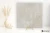 dc48f28c8dda63188fea9bd3bec57a0f