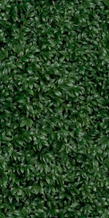 8b1ed7cb43fd152cbe0df2460ba4ca46