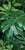 1df1ecd3cf7ea6442b9ff265d5a1148d