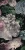 8afba6195356e7d5061ebca18ffbcd5f