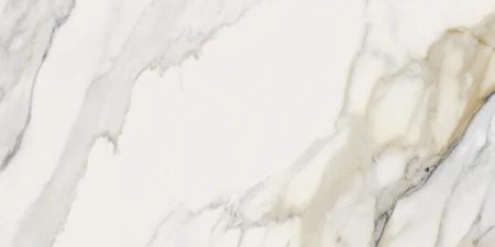 8014cfbacc26c9322fe2d0359ac7bbd6