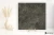Delconca Boutique Noisette wysoki 120x120 - płytka imitująca kamień