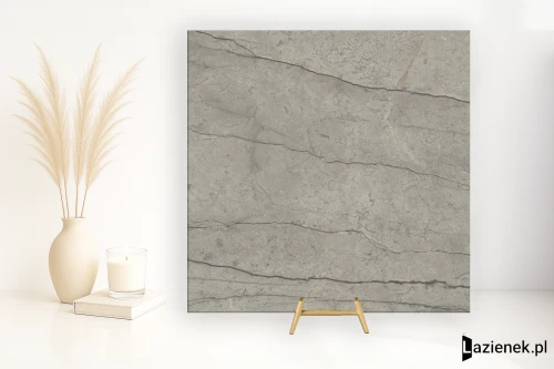 Przejdź do produktu Delconca Boutique Silver podwyższona odporność 60x60 cm gr. 9 mm - płytka rektyfikowana / G9BO15RJ