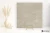 Delconca Lavaredo Beige antypoślizgowa 120x120 - płytka imitująca kamień