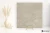 Delconca Lavaredo Beige podwyższona odporność 120x120 - płytka imitująca kamień