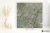 Delconca Premiere Amazzonite 60x60 - płytka imitująca marmur