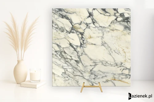 Przejdź do produktu Delconca Premiere Paonazzo matowa 120x120 cm gr. 9 mm - płytka rektyfikowana / GRPM10R