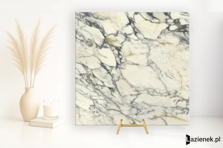 Delconca Premiere Paonazzo wysoki 120x120 - płytka imitująca marmur