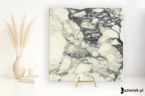 Przejdź do produktu Delconca Premiere Paonazzo wysoki połysk 60x60 cm gr. 9 mm - płytka rektyfikowana / G9PM10S