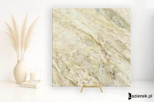 Przejdź do produktu Delconca Premiere Paradise wysoki połysk 120x120 cm gr. 9 mm - płytka rektyfikowana / GRPM01S