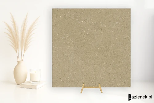 Przejdź do produktu Delconca Wild Beige podwyższona odporność 80x80 cm gr. 9 mm - płytka rektyfikowana / GTWD01R