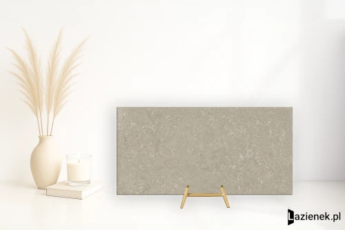Przejdź do produktu Delconca Wild Greige antypoślizgowa 60x120 cm gr. 20 mm - płytka rektyfikowana / SCWD11R