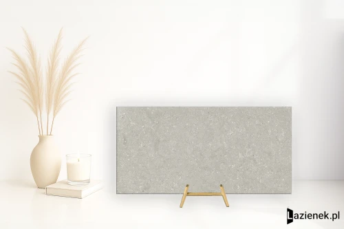 Przejdź do produktu Delconca Wild Grey antypoślizgowa 60x120 cm gr. 20 mm - płytka rektyfikowana / SCWD05R