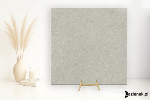 Przejdź do produktu Delconca Wild Grey podwyższona odporność 120x120 cm gr. 9 mm - płytka rektyfikowana / GRWD05R