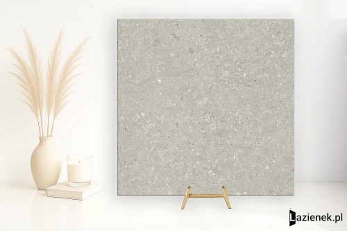 Przejdź do produktu Delconca Wild Grey podwyższona odporność 60x60 cm gr. 9 mm - płytka rektyfikowana / G9WD05R
