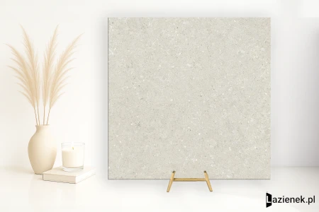 Delconca Wild White podwyższona odporność 60x60 - płytka imitująca kamień