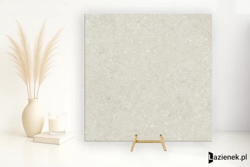 Przejdź do produktu Delconca Wild White podwyższona odporność 60x60 cm gr. 9 mm - płytka rektyfikowana / G9WD10R