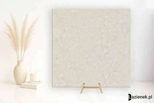 Przejdź do produktu Delconca Wild White podwyższona odporność 80x80 cm gr. 9 mm - płytka rektyfikowana / GTWD10R