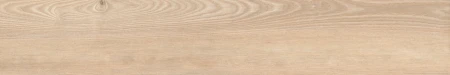 Delconca Native Frassino 20x120 - płytka drewnopodobna