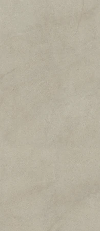 Delconca Sensoria Vegetale 120x278 - płytka imitująca kamień