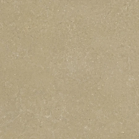 Delconca Wild Greige podwyższona odporność 120x120 - płytka imitująca kamień