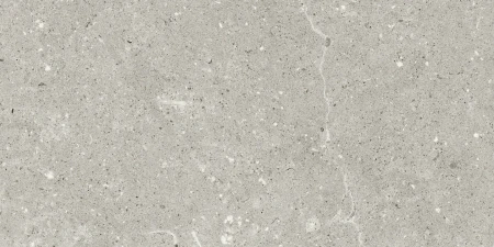 Delconca Wild Grey antypoślizgowa 30x60 - płytka imitująca kamień