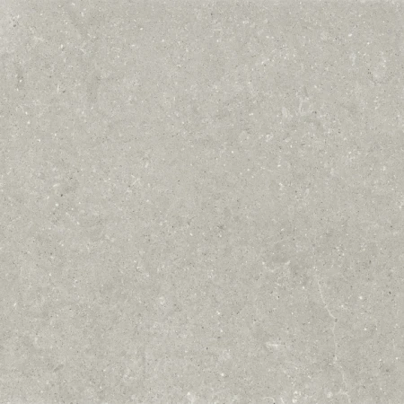 Delconca Wild Grey podwyższona odporność 120x120 - płytka imitująca kamień