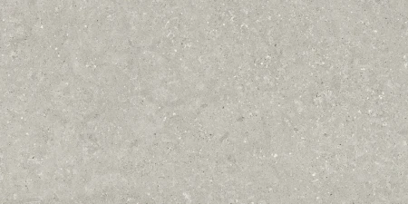 Delconca Wild Grey podwyższona odporność 60x120 - płytka imitująca kamień