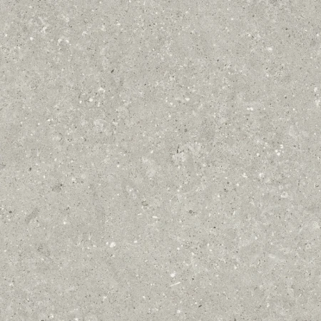 Delconca Wild Grey podwyższona odporność 60x60 - płytka imitująca kamień